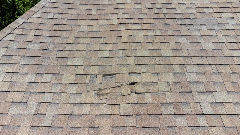 Asphalt Roof Inspection in Johnstown, CO