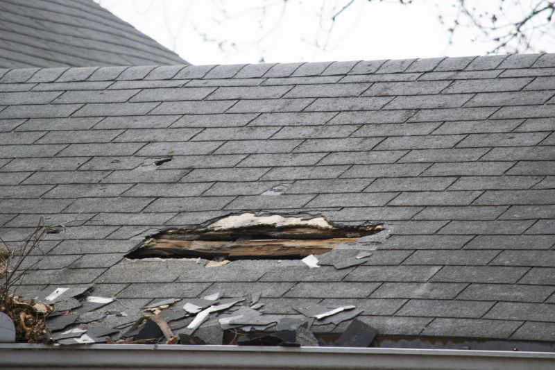 Asphalt Roof Leak Repair in Grand Lake, CO