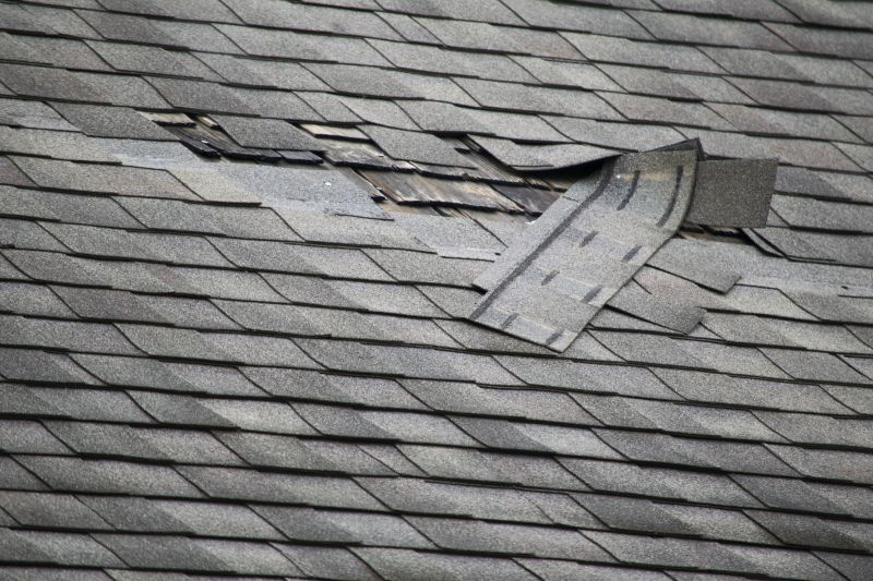 Asphalt Roof Repair in Allenspark, CO