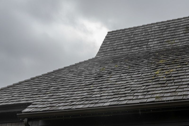 Cedar Shingles Replacement in Allenspark, CO