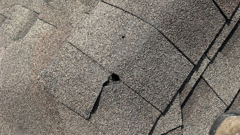 Damaged Roof Repair in Berthoud, CO