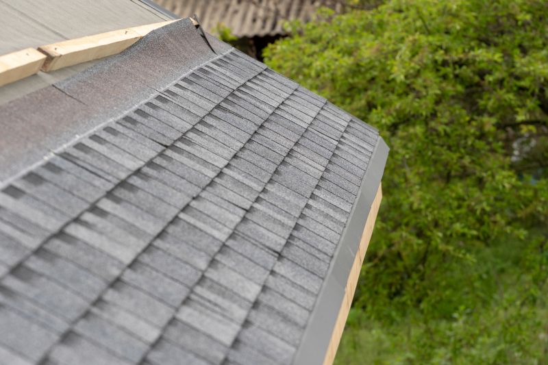 Damaged Roof Repair in Berthoud, CO