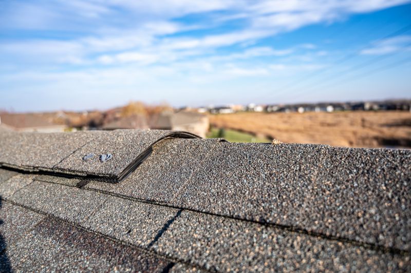 Damaged Roof Repair in Johnstown, CO