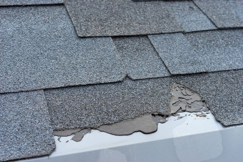 Damaged Roof Repair in Longmont, CO