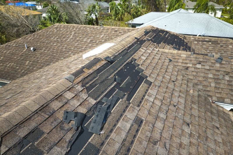 Dormer Roof Repair in Estes Park, CO
