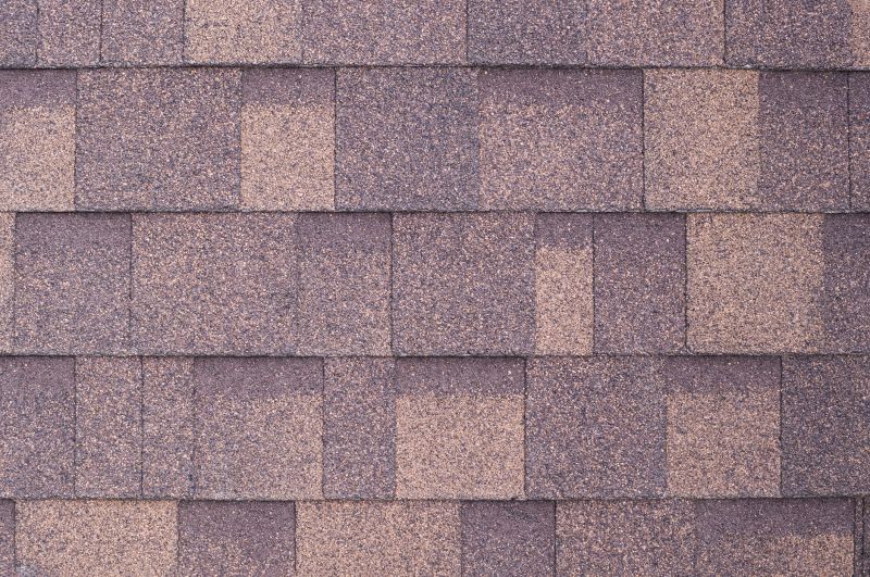 Fiberglass Shingles Repair in Estes Park, CO