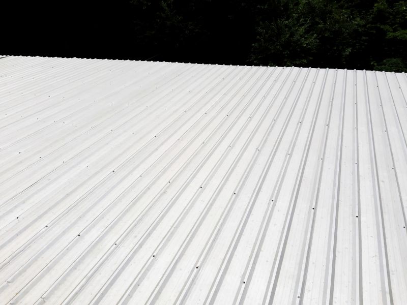 Galvanized Roof Repair in Estes Park, CO