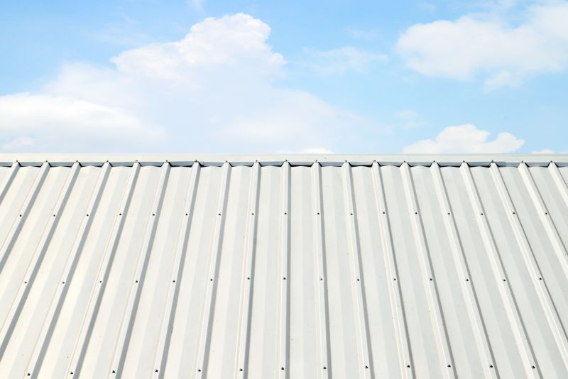 Metal Roof Coating Service in Estes Park, CO