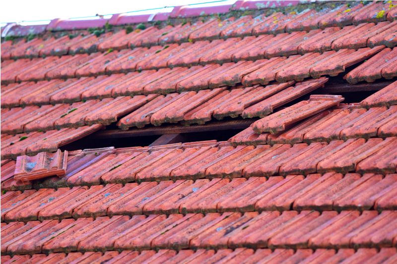 Roof Damage Inspection in Allenspark, CO