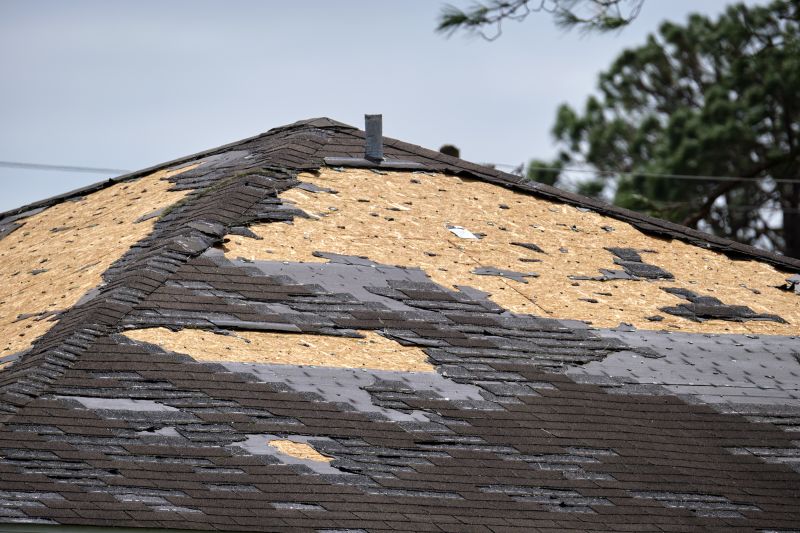 Roof Damage Repair in Boulder County, CO