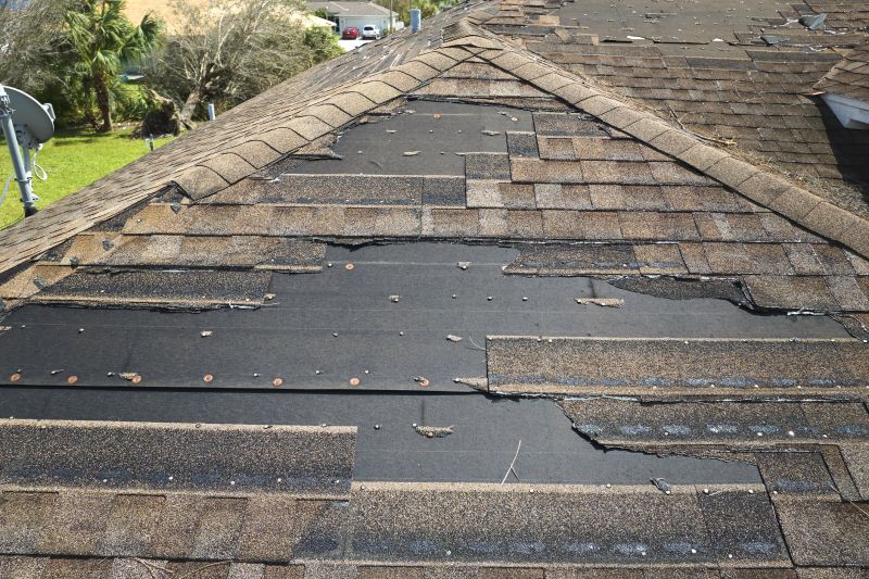 Roof Hail Damage Repair in Estes Park, CO