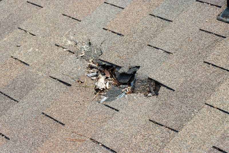 Roof Shingles Replacement in Estes Park, CO