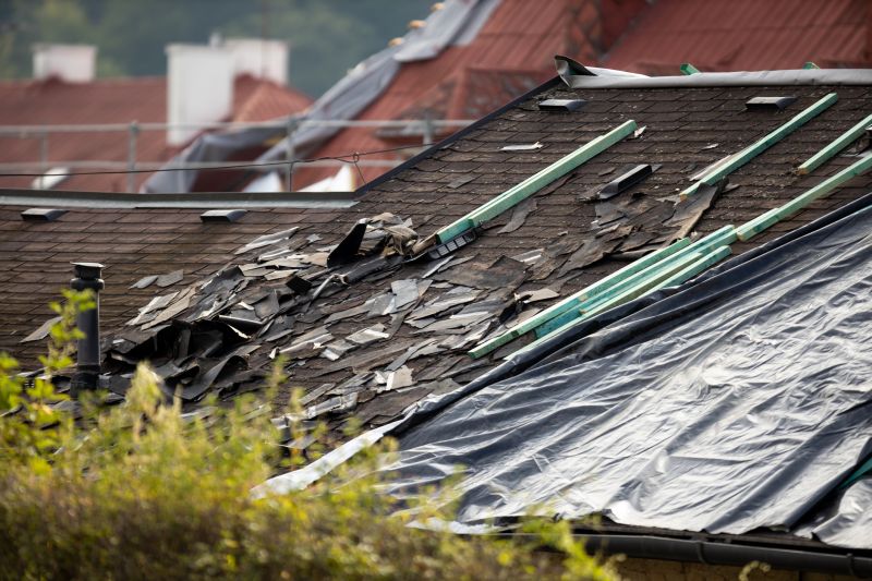 Storm Damage Roof Tarping in Estes Park, CO