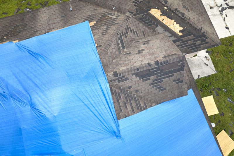Storm Damage Roof Tarping in Estes Park, CO