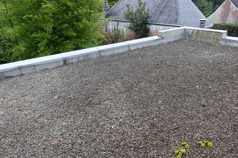 Tar And Gravel Roof Repair in Lyons, CO