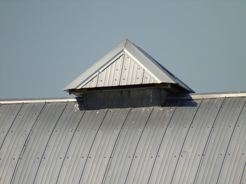 Tin Roof Installation in Berthoud, CO