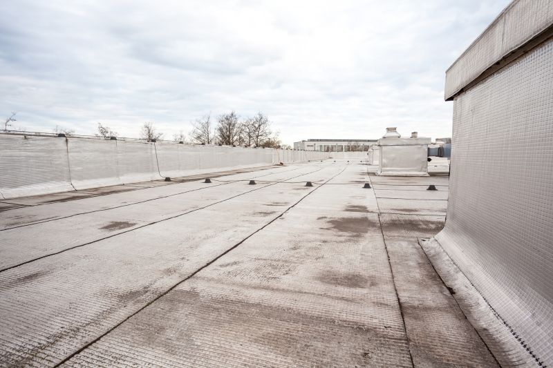 Tpo Roof Repair in Longmont, CO