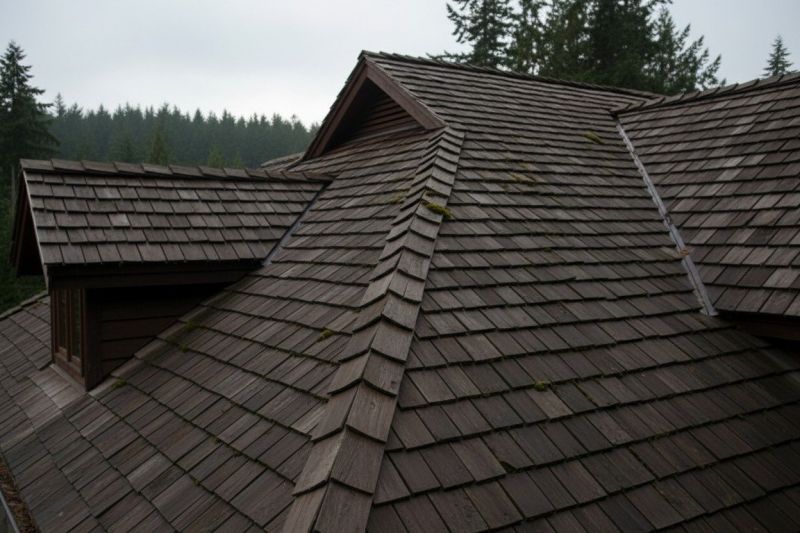 Wood Shake Roof Replacement in Jamestown, CO