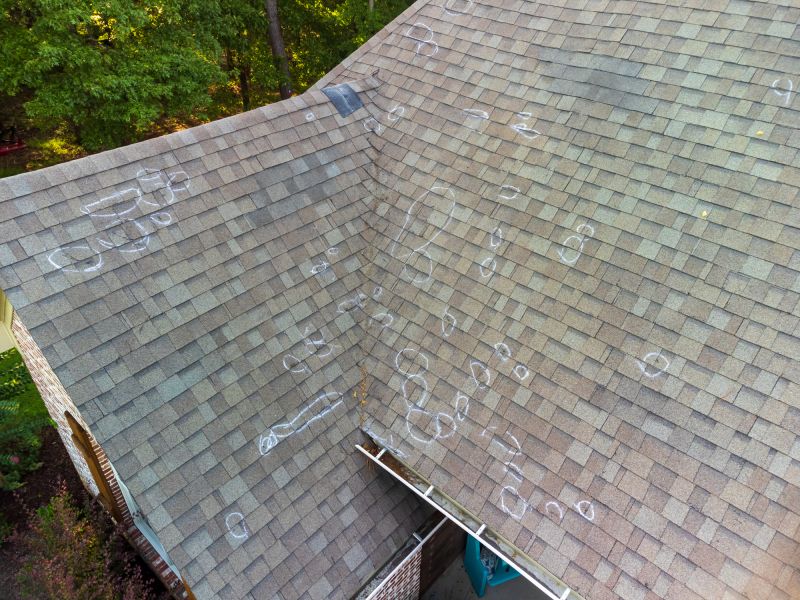 Asphalt Roof Inspection in Jamestown, CO